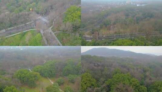 杭州植物园春天树林风景视频素材航拍高清在线视频素材下载
