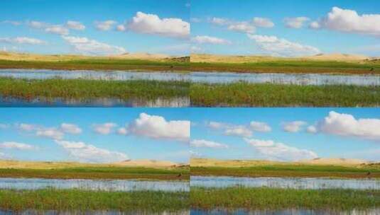 青海湖边的湿地和远处的沙丘高清在线视频素材下载