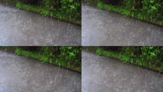 白天，大雨滴打在潮湿的地面上，背景是郁郁高清在线视频素材下载