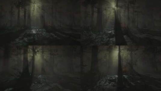 森林中的恐怖场景，神秘的树木，月光，雾中高清在线视频素材下载