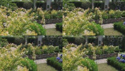 阳光户外花园庭院设计花境设计高清在线视频素材下载