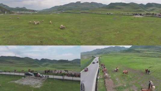 贵州阿西里西草原航拍高清在线视频素材下载