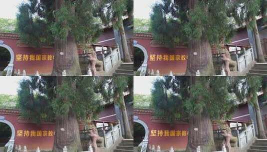 筇竹寺历史名寺古刹高清在线视频素材下载