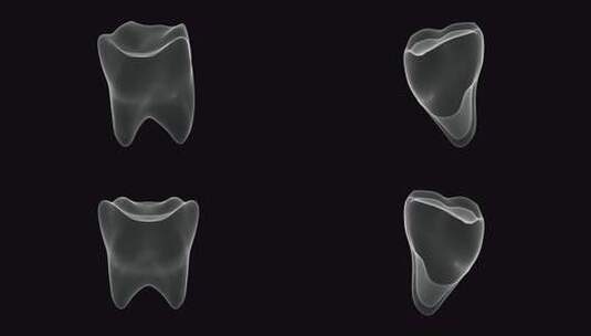 磨牙全息图高清在线视频素材下载