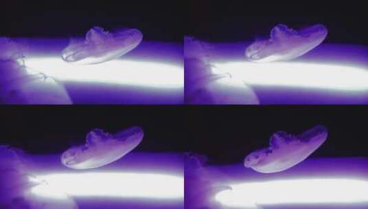 紫色发光水母游动高清在线视频素材下载