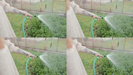 圆丁用水管浇植物高清在线视频素材下载