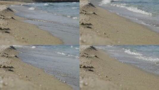 海边海鸥活动海浪拍打沙滩高清在线视频素材下载
