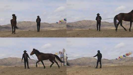 若尔盖草原赛马骑马驯马升格慢动作实拍4k高清在线视频素材下载