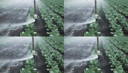 给农田浇水高清在线视频素材下载