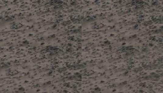 新疆 沙尘天气 嵌入沙子中的砾石滩特写高清在线视频素材下载