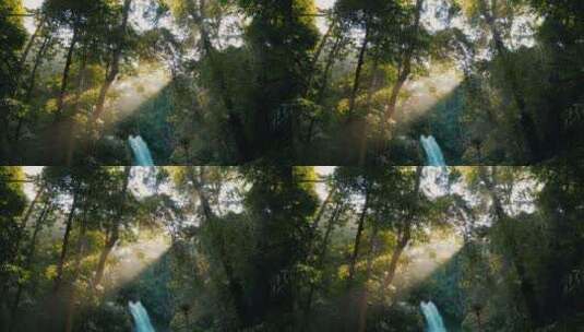森林瀑布全景景观高清在线视频素材下载