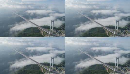 【延时】云雾中的龙江大桥高清在线视频素材下载