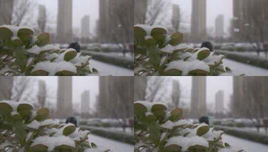 园区里小区里下雪高清在线视频素材下载