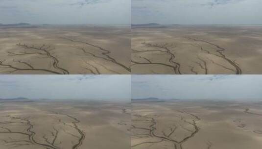 鄱阳湖枯水季沙洲上显现生命之树的航拍视频高清在线视频素材下载