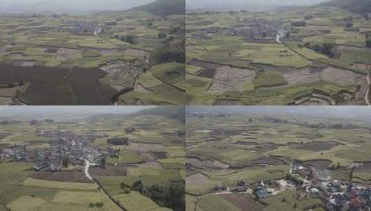 被绿油油的庄稼包围的小村庄高清在线视频素材下载