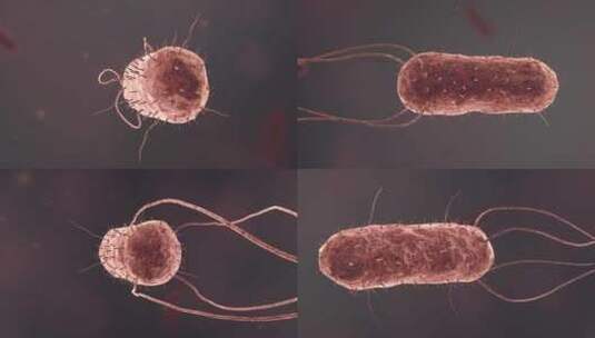 医疗病菌病毒细菌分子病原体生物三维动画高清在线视频素材下载