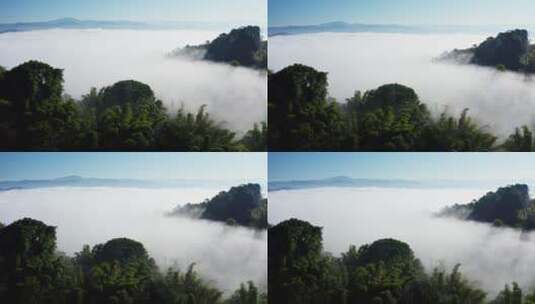 清晨云雾中的竹林高清在线视频素材下载