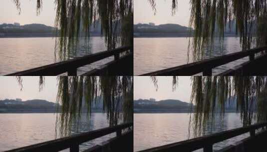 河边杨柳 河面落日高清在线视频素材下载