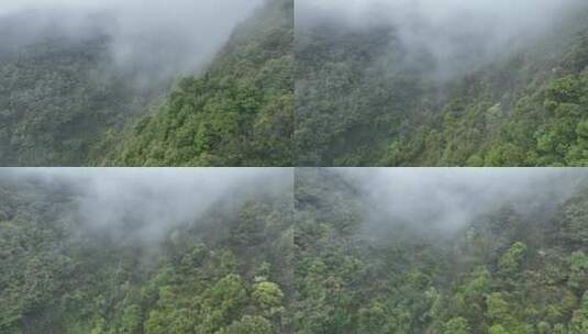 烟雨云雾缥缈的大山高清在线视频素材下载