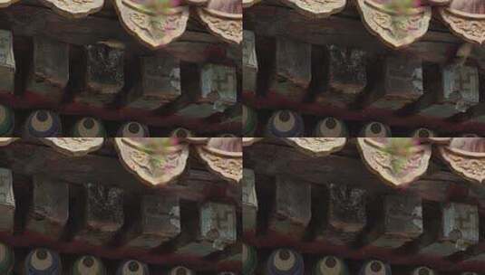 故宫紫禁城屋檐下活动的麻雀高清在线视频素材下载