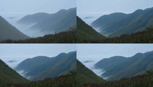 高山和云海延时摄影高清在线视频素材下载