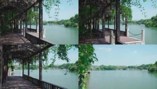 湖边长廊绿色公园高清在线视频素材下载