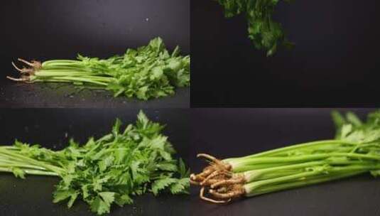 绿色蔬菜芹菜高清在线视频素材下载