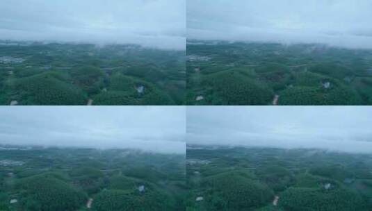乡村丘陵连绵群山绿色森林云雾缭绕航拍风光高清在线视频素材下载