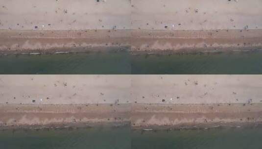 航拍大海海浪沙滩高清在线视频素材下载