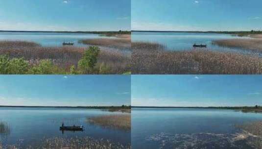 飞越湖泊湿地景观高清在线视频素材下载