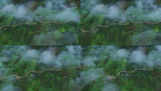 云雾森林航拍山山川大自然风景意境自然风光高清在线视频素材下载