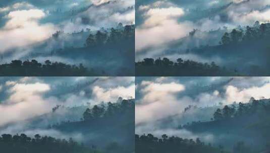 云雾缭绕的茶山高清在线视频素材下载