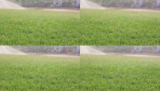 180帧慢动作夏天草地浇水高清在线视频素材下载