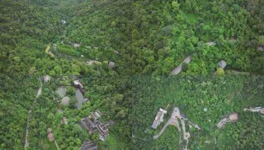 云南野象谷雨林航拍高清在线视频素材下载