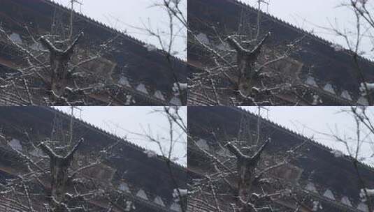 杭州径山寺中式古建筑寺庙雪景高清在线视频素材下载