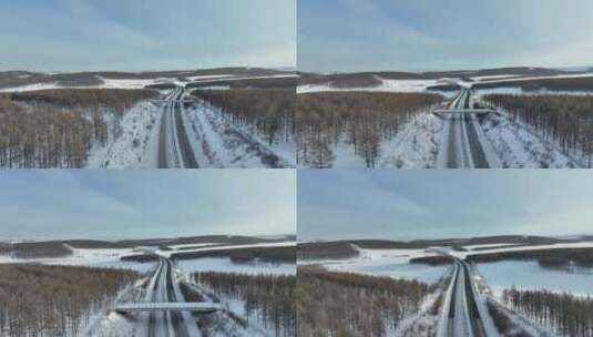 林区高速冰雪路面汽车行驶高清在线视频素材下载