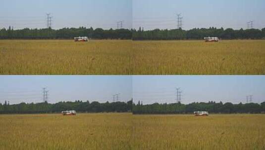 中国农业经济发展机器收割水稻大米高清在线视频素材下载