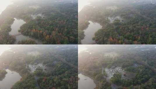上海吴淞炮台湾国家湿地公园清晨唯美航拍高清在线视频素材下载