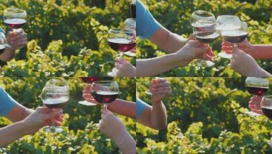 一群朋友在葡萄园里用红酒干杯高清在线视频素材下载