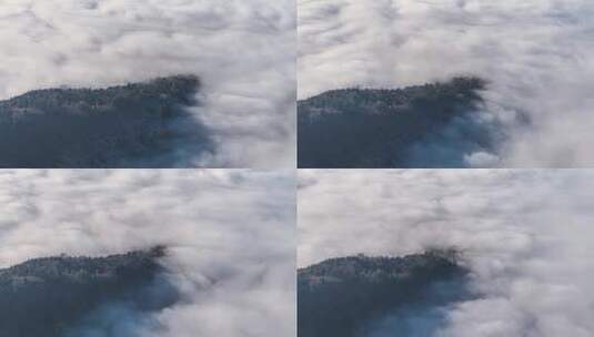 山顶雾气森林云海平流云高清在线视频素材下载