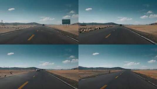 西藏旅游风光318国道车窗外狂风羊群高清在线视频素材下载