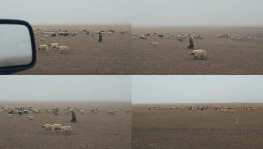 西藏旅游风光车窗外风雪牧羊人羊群高清在线视频素材下载