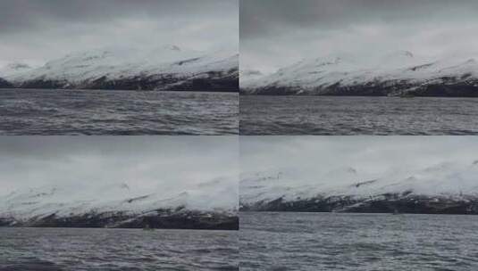 冰岛观鲸高清在线视频素材下载