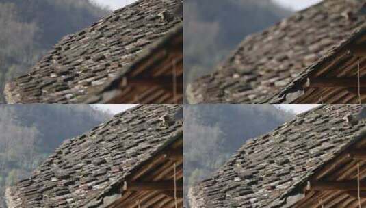 J浙江温州苍南碗窑屋顶瓦片4k实拍视频2高清在线视频素材下载