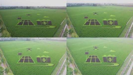 4k航拍稻田画无人机生态农业高清在线视频素材下载