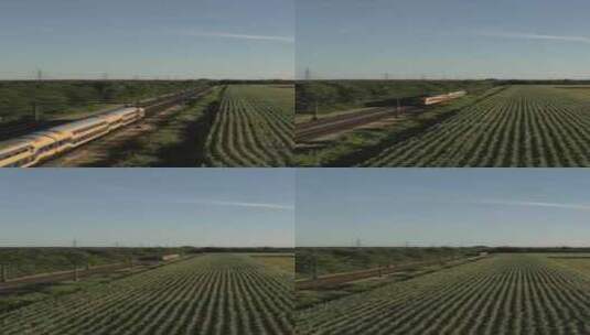 火车穿过玉米地高清在线视频素材下载