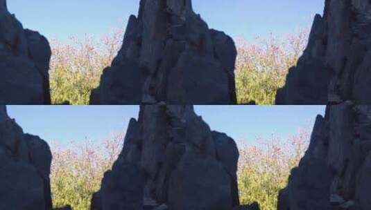 假山 人造景观 石头 花岗岩 山石 特写高清在线视频素材下载