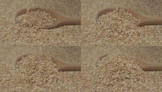 谷物 种子 小麦 作物 小麦特写高清在线视频素材下载
