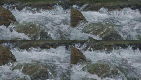 溪流流水水花高清在线视频素材下载