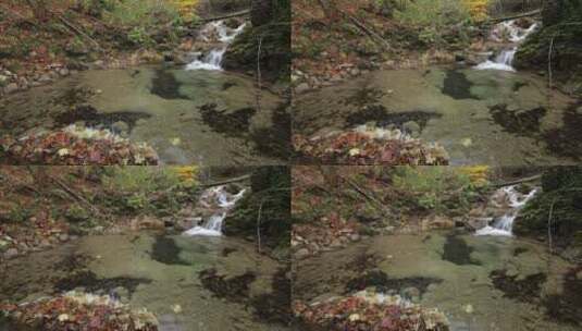 瀑布水流向小河高清在线视频素材下载